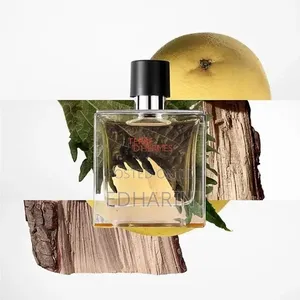 Brand New Sealed Authentic Terre d'Hermes Parfum