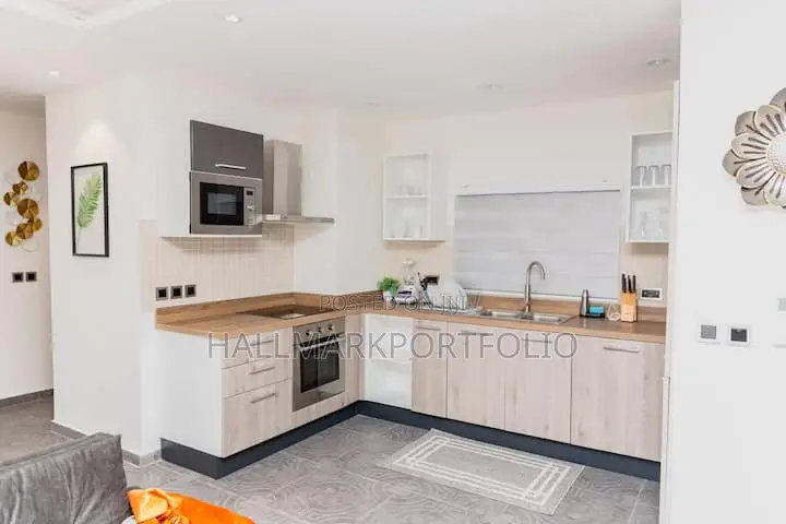 Furnished 1bdrm Apartment in Park Apartment, Cantonments for sale