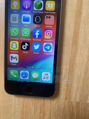 Apple iPhone 5s 16 GB Gray