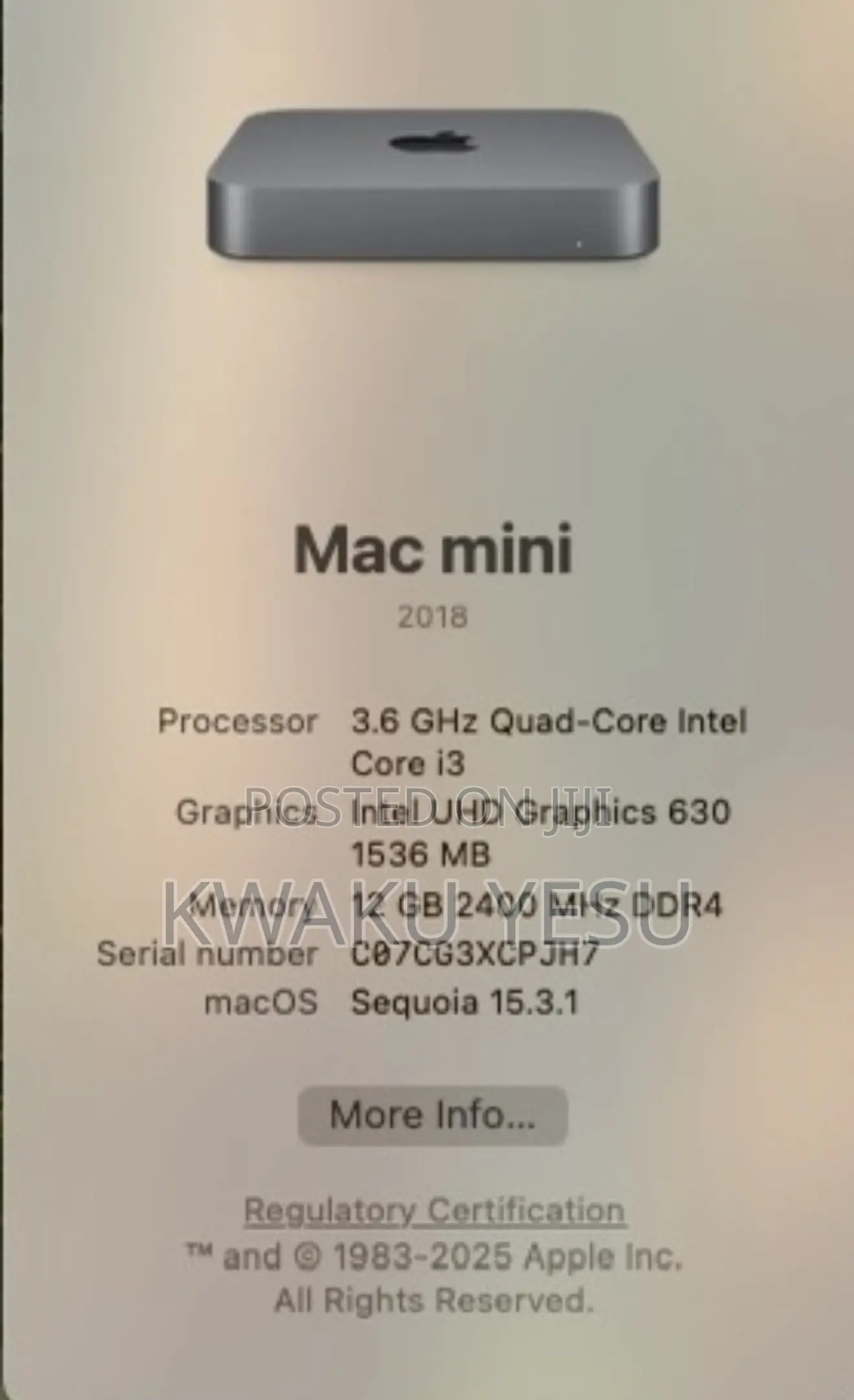 Desktop Computer Apple Mac Mini 12GB Intel Core i3 SSD 256GB