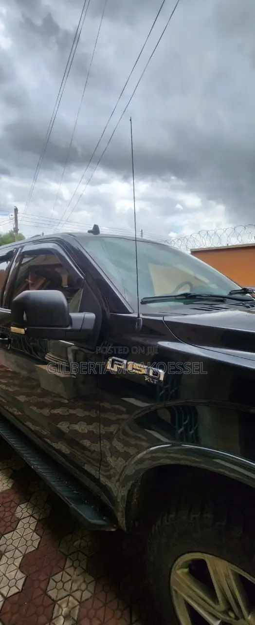 Ford F-150 2019 Black