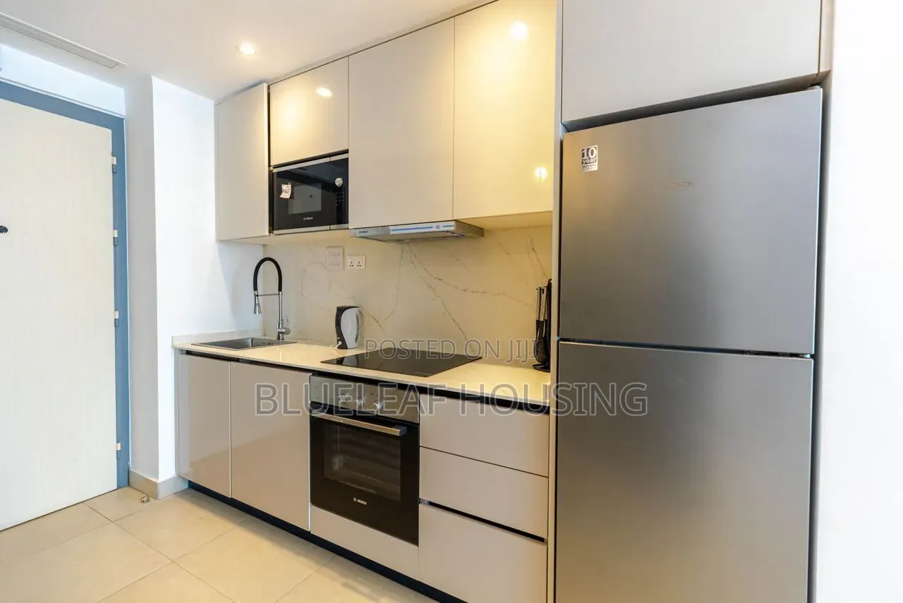 Furnished 1bdrm Duplex in Cantonments for rent