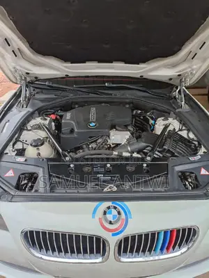 BMW 528i 2012 White