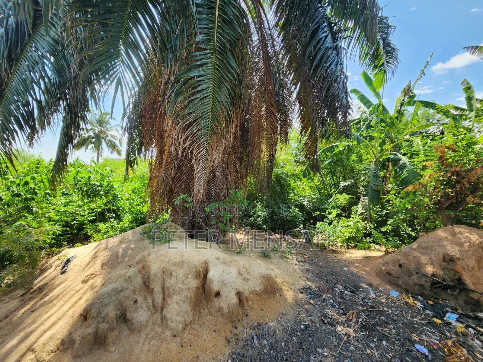 Prime Land for Sale