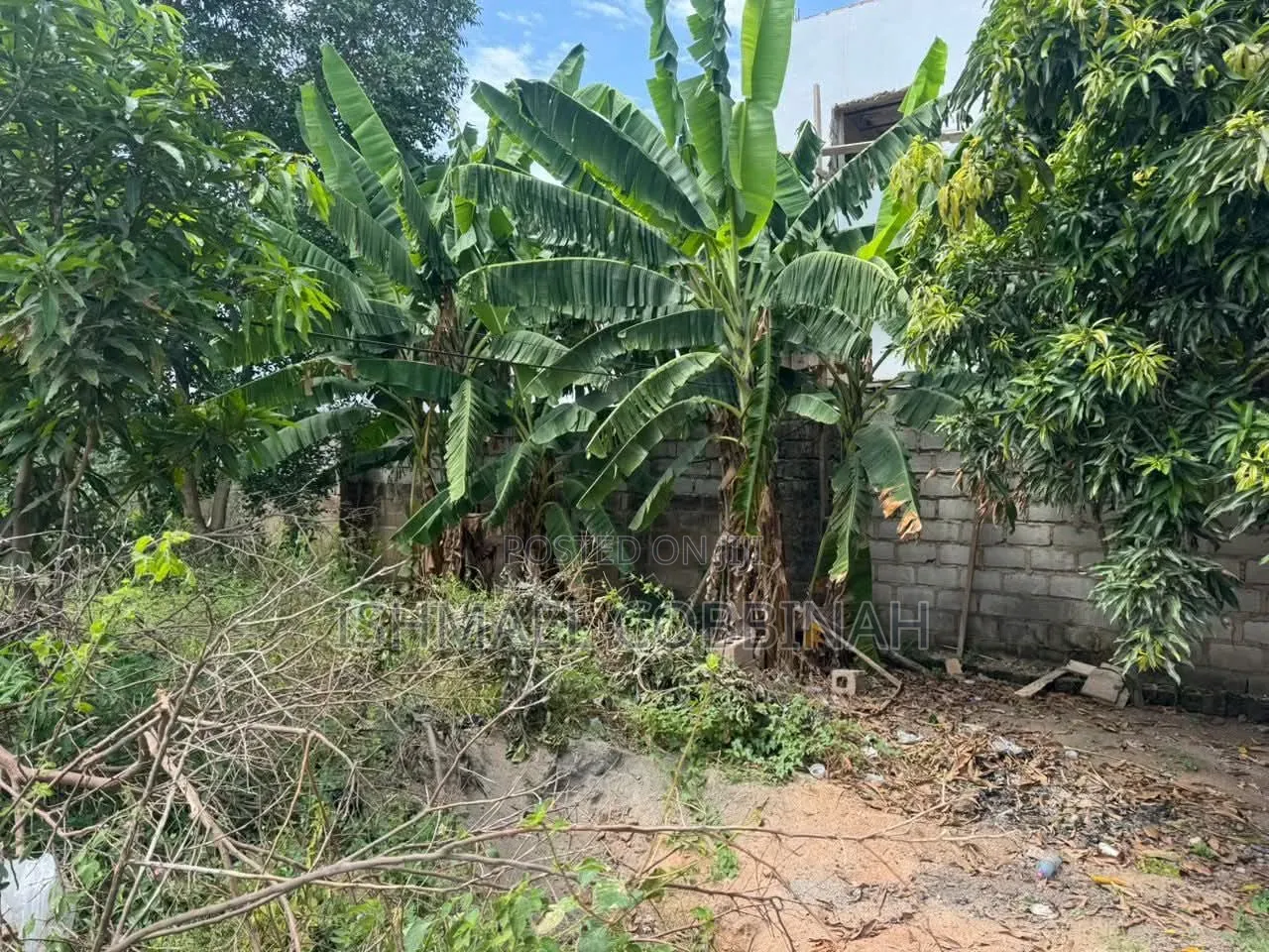 Genuine Land for Sale at Achimota