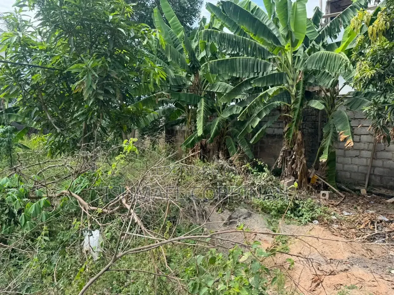 Genuine Land for Sale at Achimota