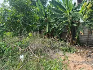 Genuine Land for Sale at Achimota