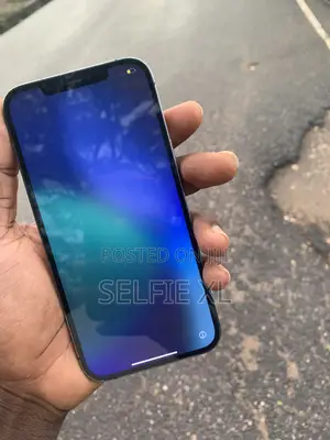 Apple iPhone 12 Pro Max 256 GB Silver