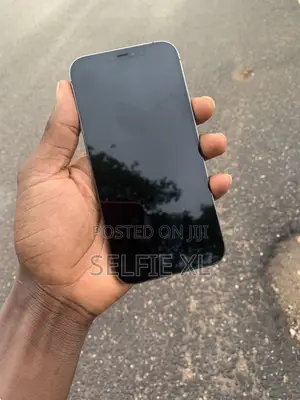 Apple iPhone 12 Pro Max 256 GB Silver