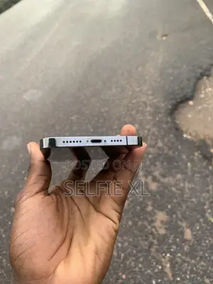 Apple iPhone 12 Pro Max 256 GB Silver