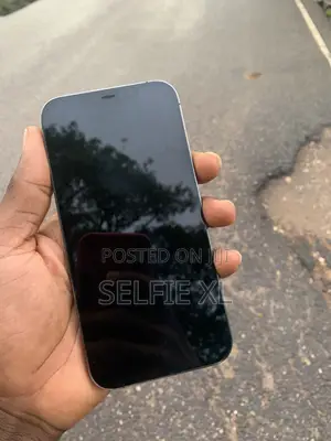 Apple iPhone 12 Pro Max 256 GB Silver