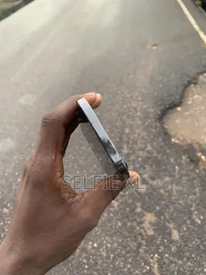 Apple iPhone 12 Pro Max 256 GB Silver