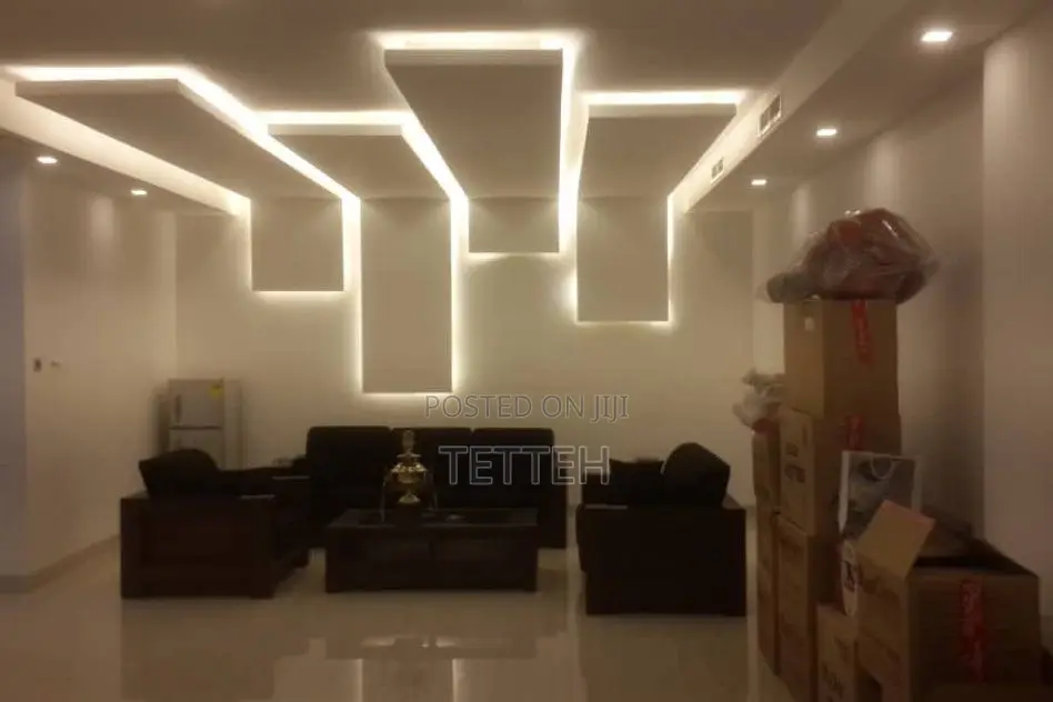 Ceiling Expert.