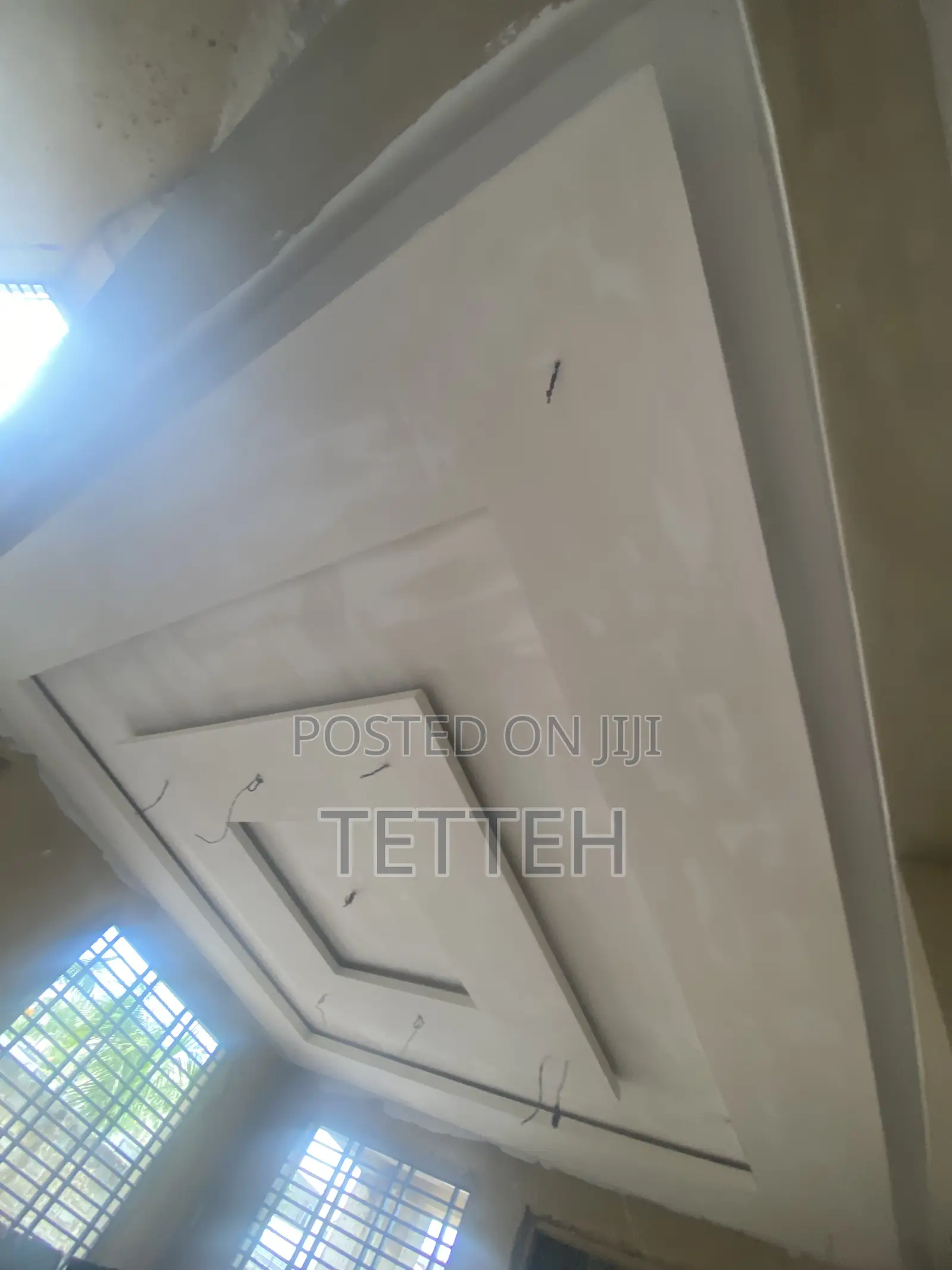 Ceiling Expert.