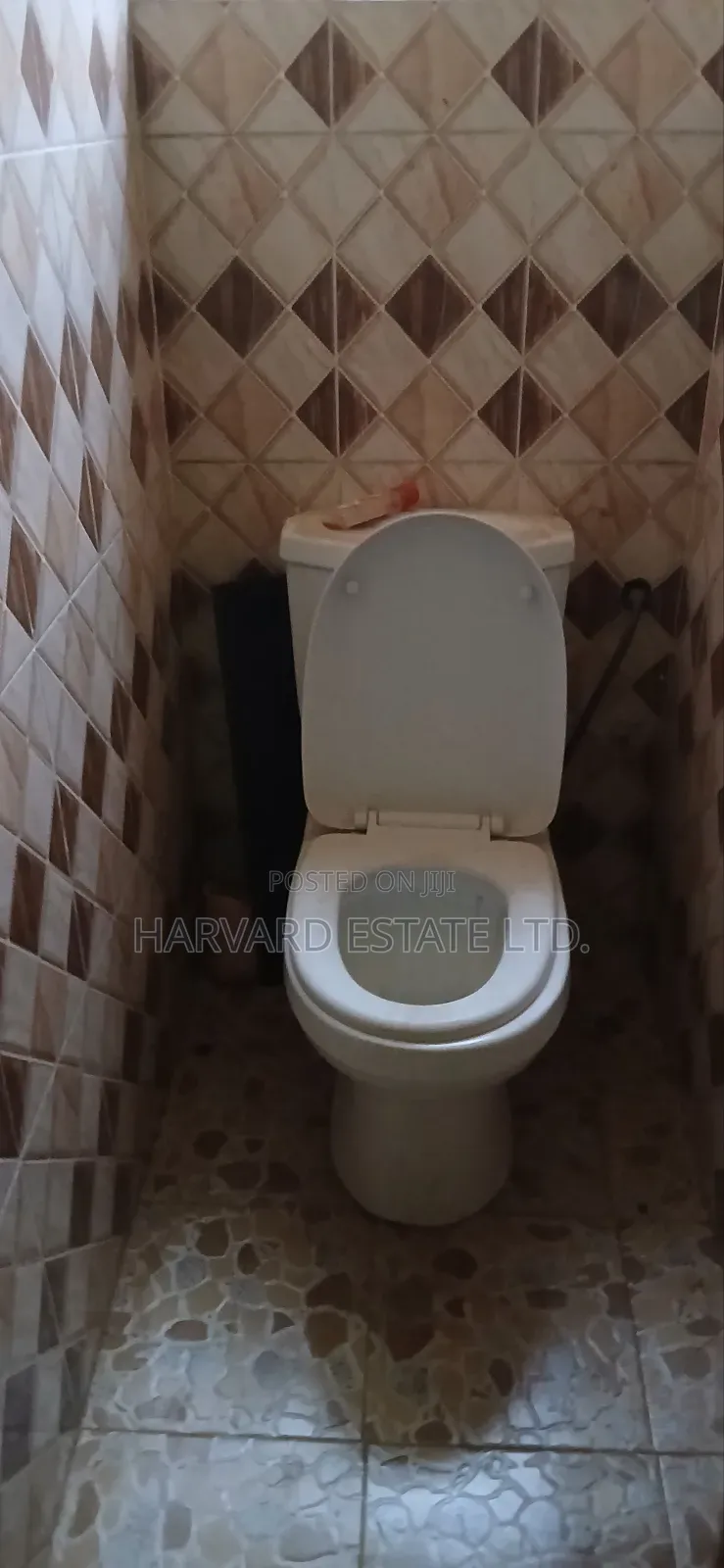 6bdrm House in Tech Appiadu Knust, Kumasi Metropolitan for rent