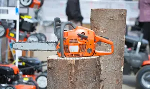 Tree Cutting And Fumigation