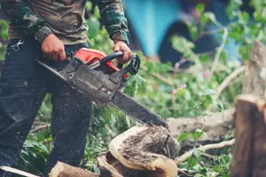 Tree Cutting And Fumigation