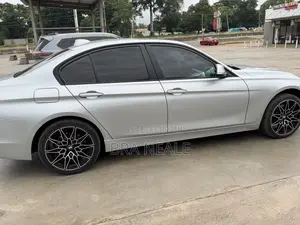 BMW 320i Sedan RWD 2014 Silver