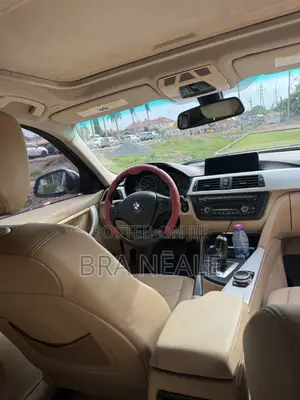 BMW 320i Sedan RWD 2014 Silver