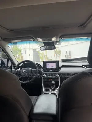Toyota RAV4 XLE AWD 2019 Silver