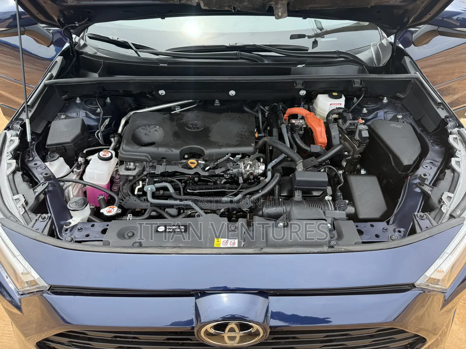 Toyota RAV4 XLE 2025 Blue
