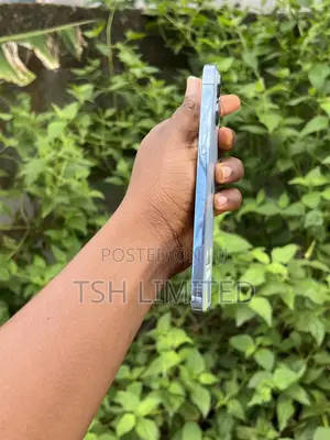Apple iPhone 13 Pro Max 256 GB Blue