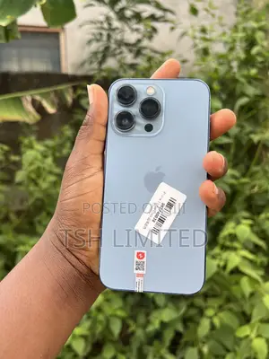 Apple iPhone 13 Pro 256 GB Blue