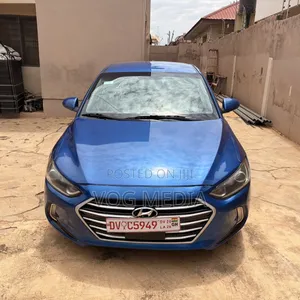 Hyundai Elantra 2017 Blue