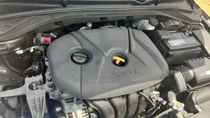 Hyundai Elantra 2019 Black