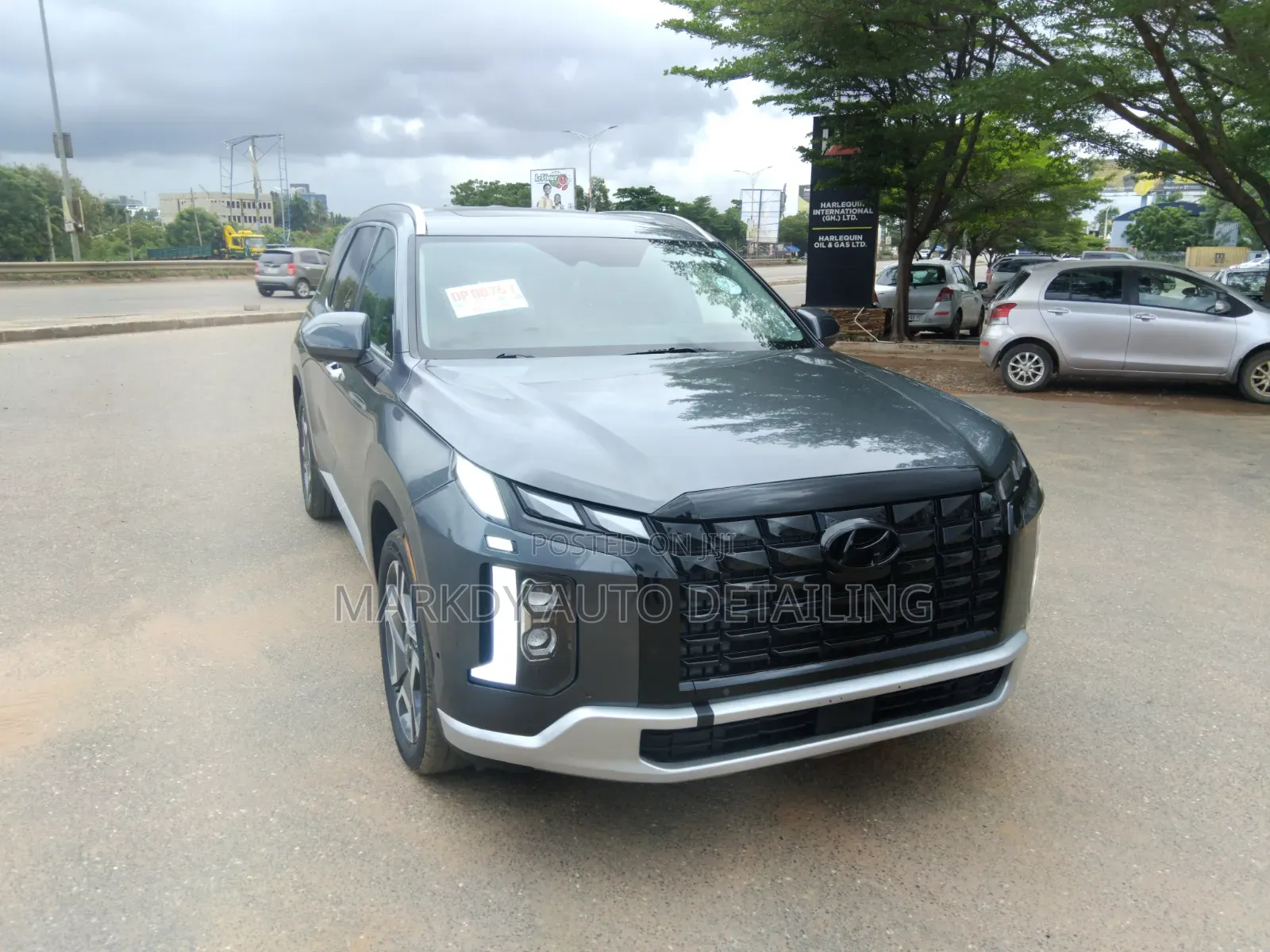 Hyundai Palisade 2022 Gray