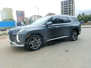 Hyundai Palisade 2022 Gray