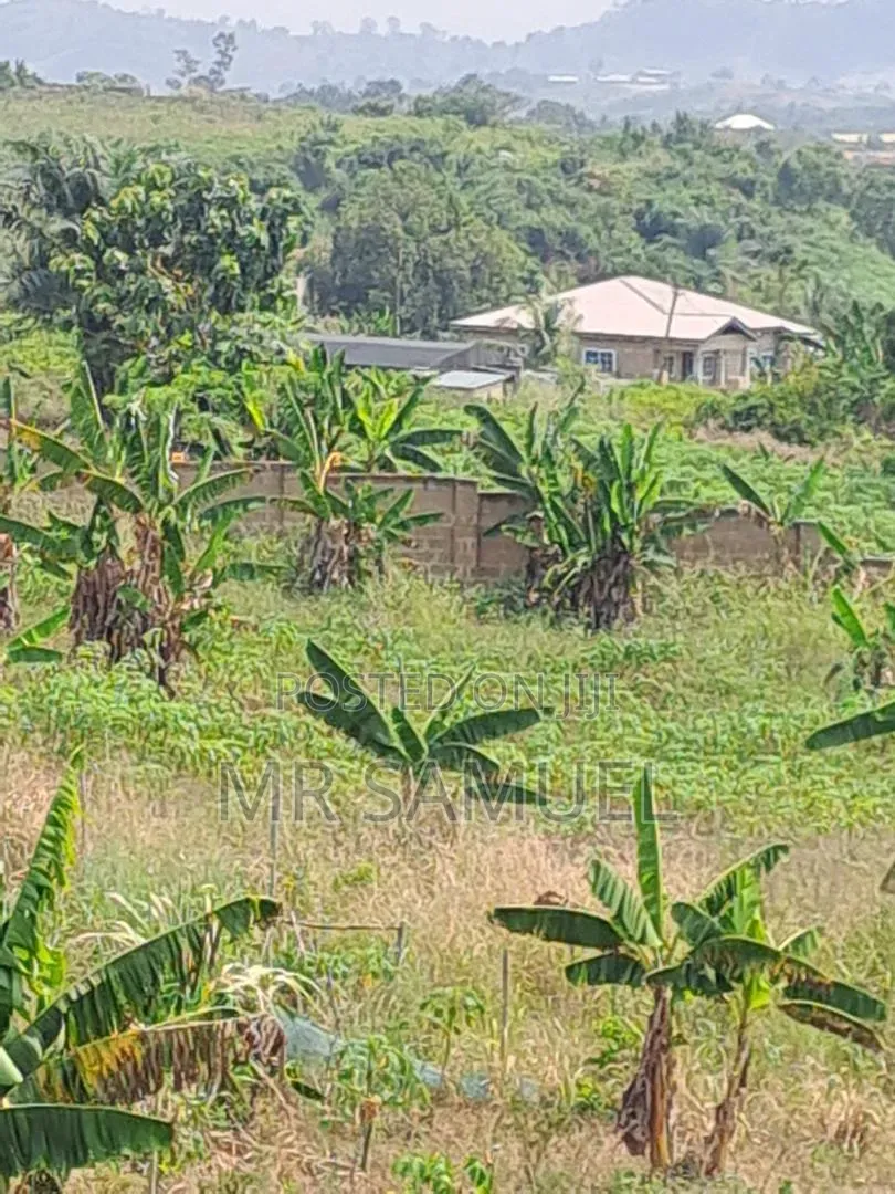 Land for Industrial Use for Sale. Location Is Adoagyiri Annof