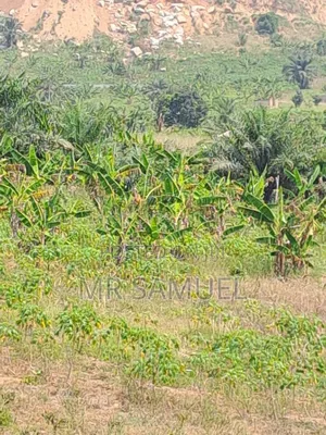 Land for Industrial Use for Sale. Location Is Adoagyiri Annof