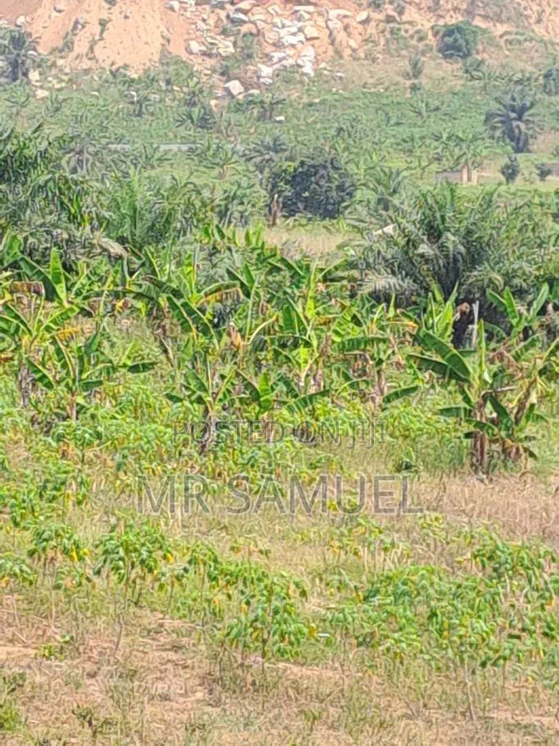 Land for Industrial Use for Sale. Location Is Adoagyiri Annof