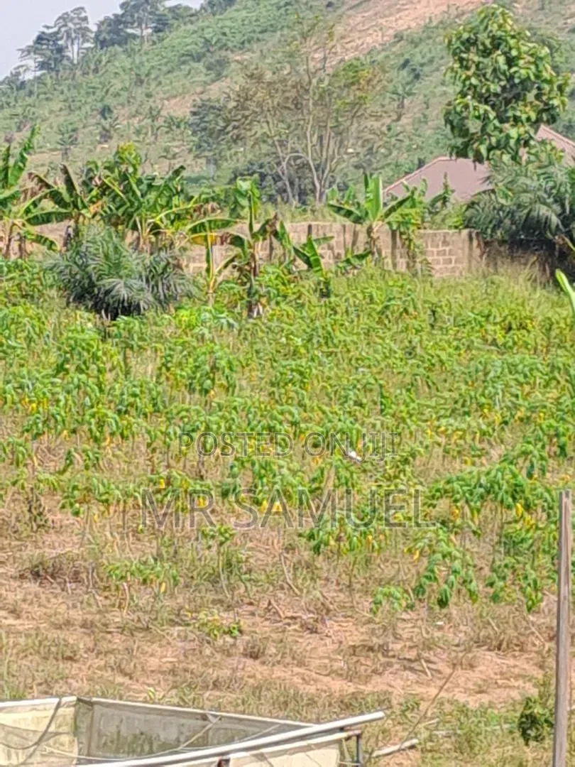Land for Industrial Use for Sale. Location Is Adoagyiri Annof