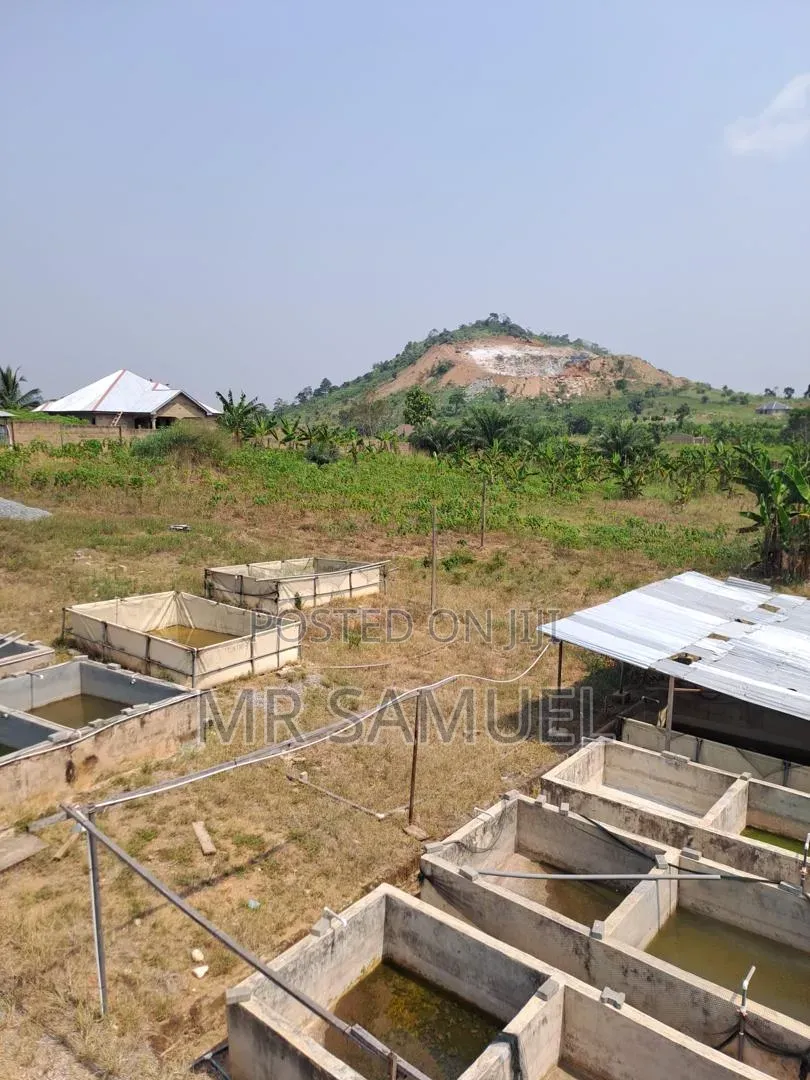 Land for Industrial Use for Sale. Location Is Adoagyiri Annof