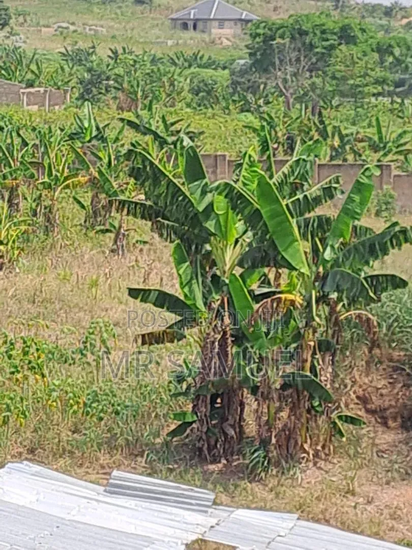 Land for Industrial Use for Sale. Location Is Adoagyiri Annof