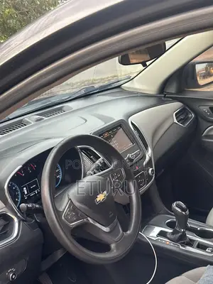 Chevrolet Equinox LS FWD 2019 Silver