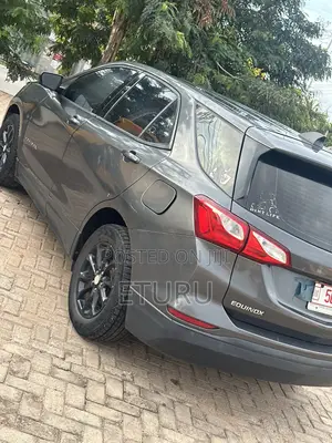 Chevrolet Equinox LS FWD 2019 Silver