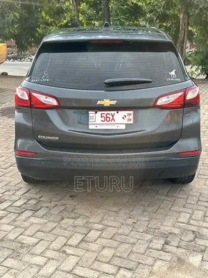 Chevrolet Equinox LS FWD 2019 Silver