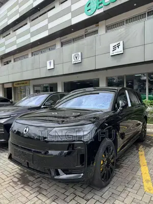 New Denza N9 2.0 Hybrid AWD 2025 Black