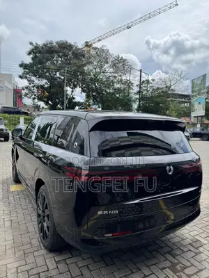 New Denza N9 2.0 Hybrid AWD 2025 Black
