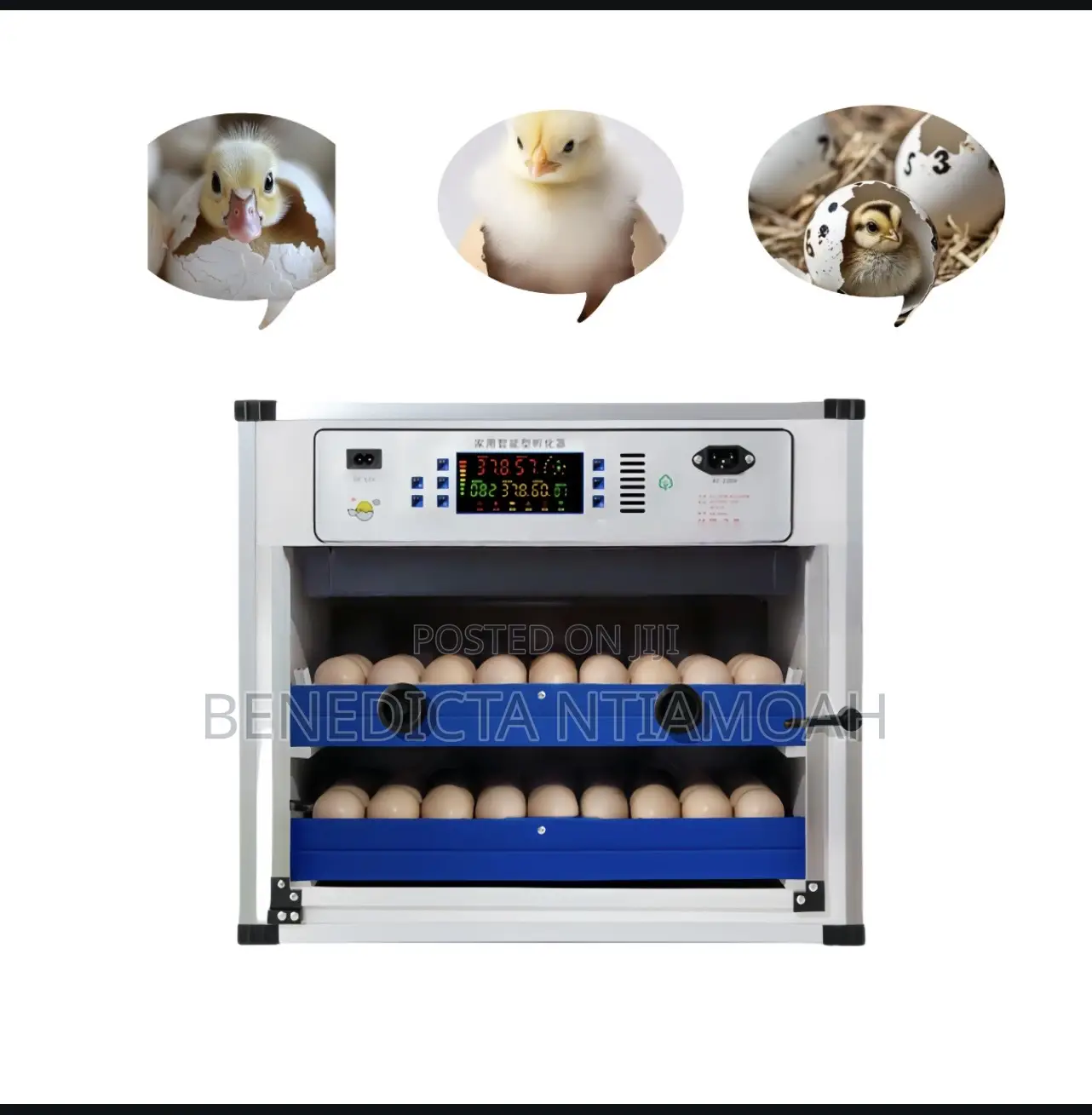 Egg Incubator Machine