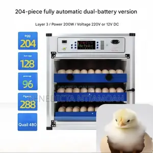 Egg Incubator Machine