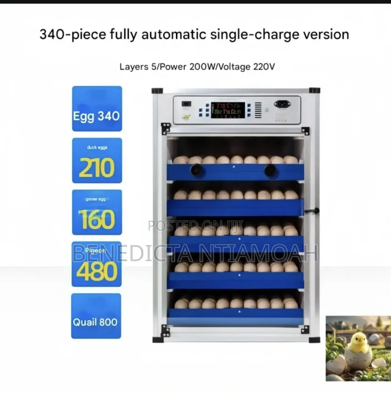 Egg Incubator Machine