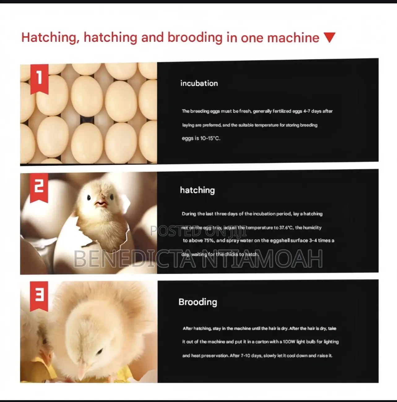 Egg Incubator Machine
