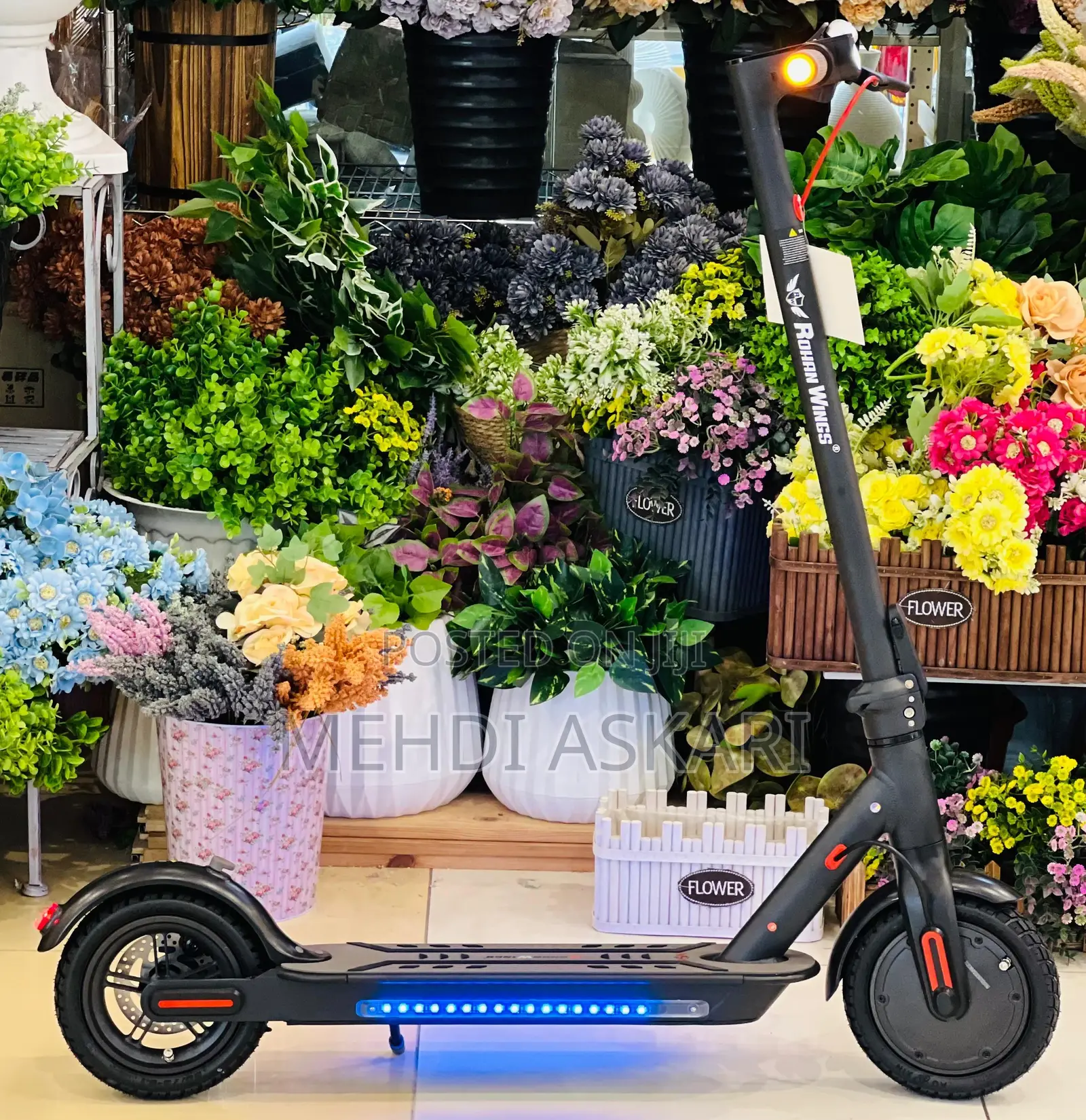 Electric Stand-Up Scooter