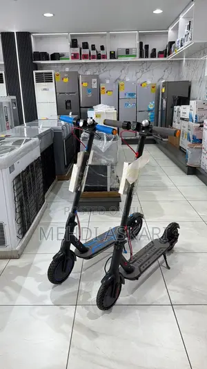 Electric Stand-Up Scooter