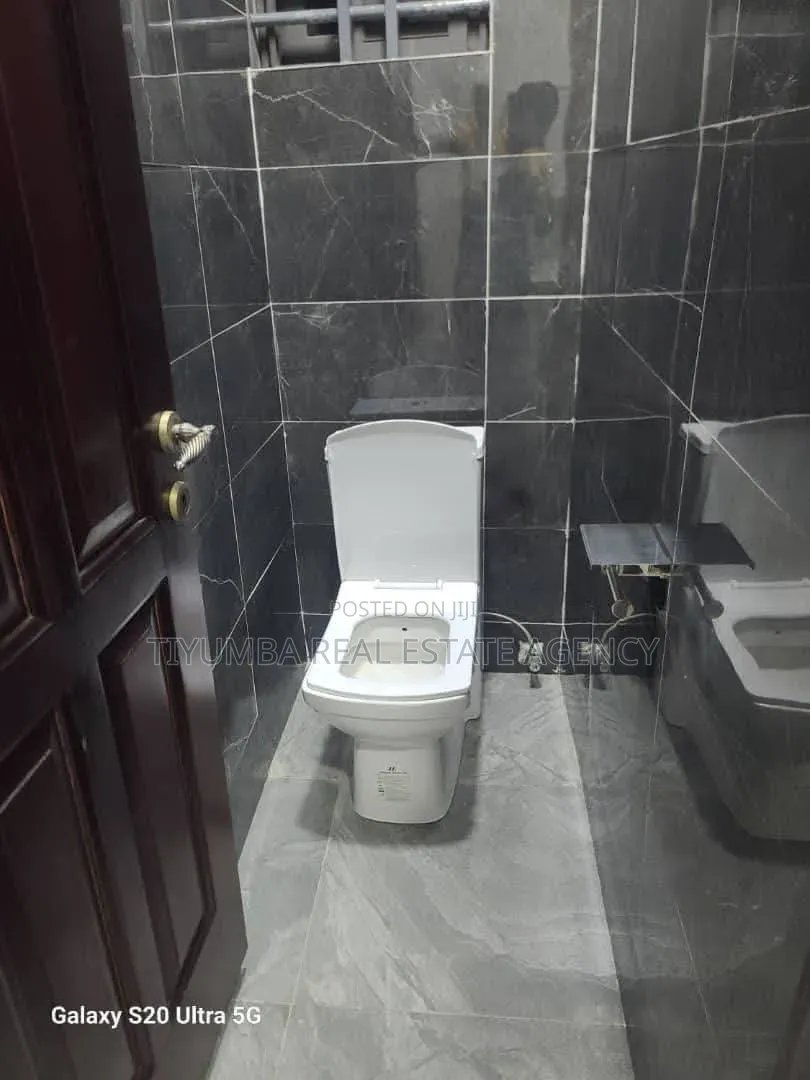 1bdrm Apartment in Tiyumba Real Estate, Pillar 2 for rent