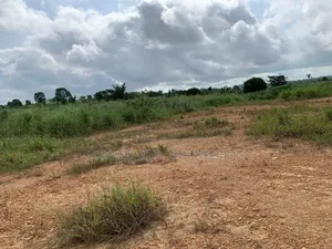 Lands for Sale in Abrankese